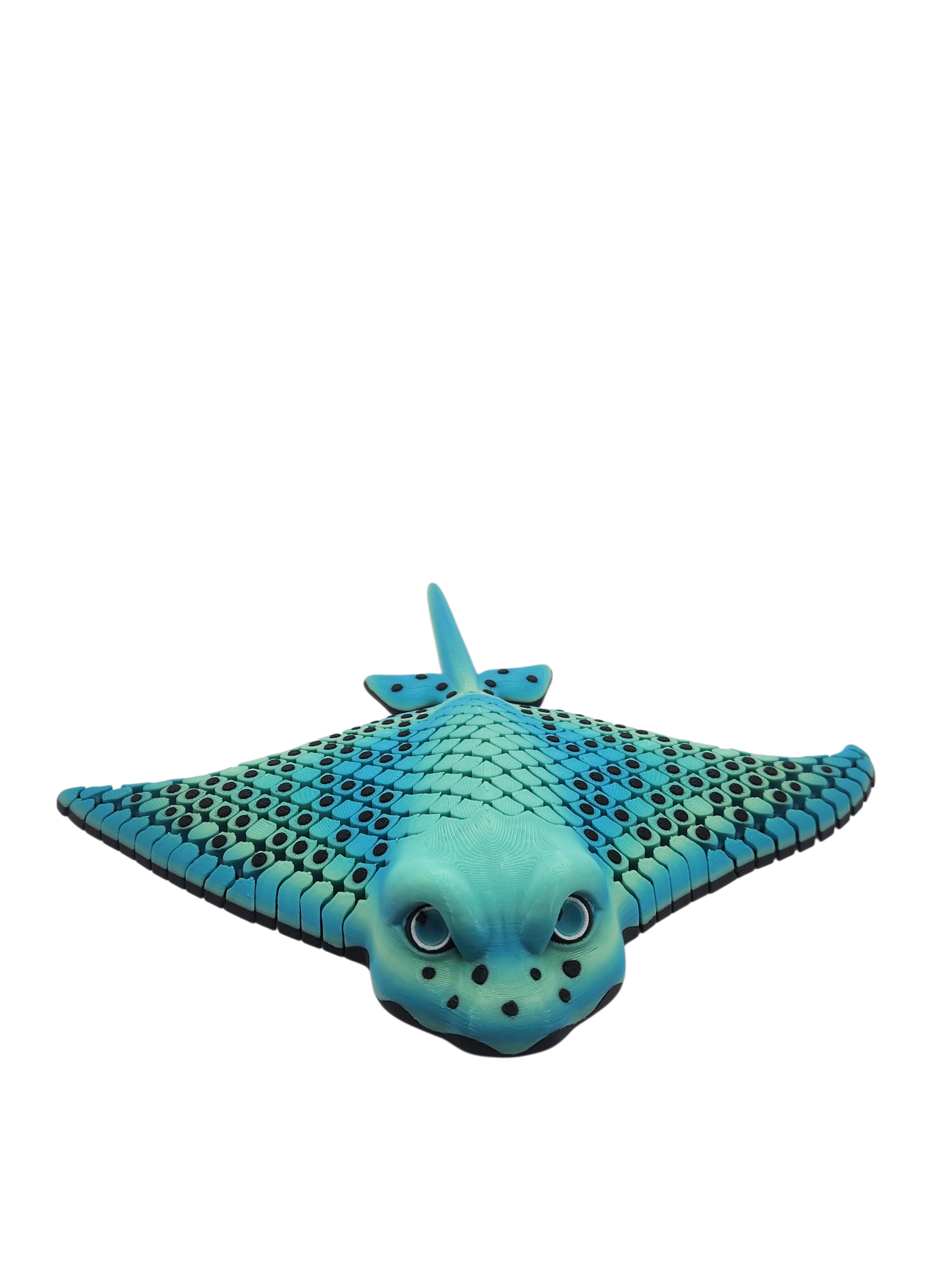 stingray