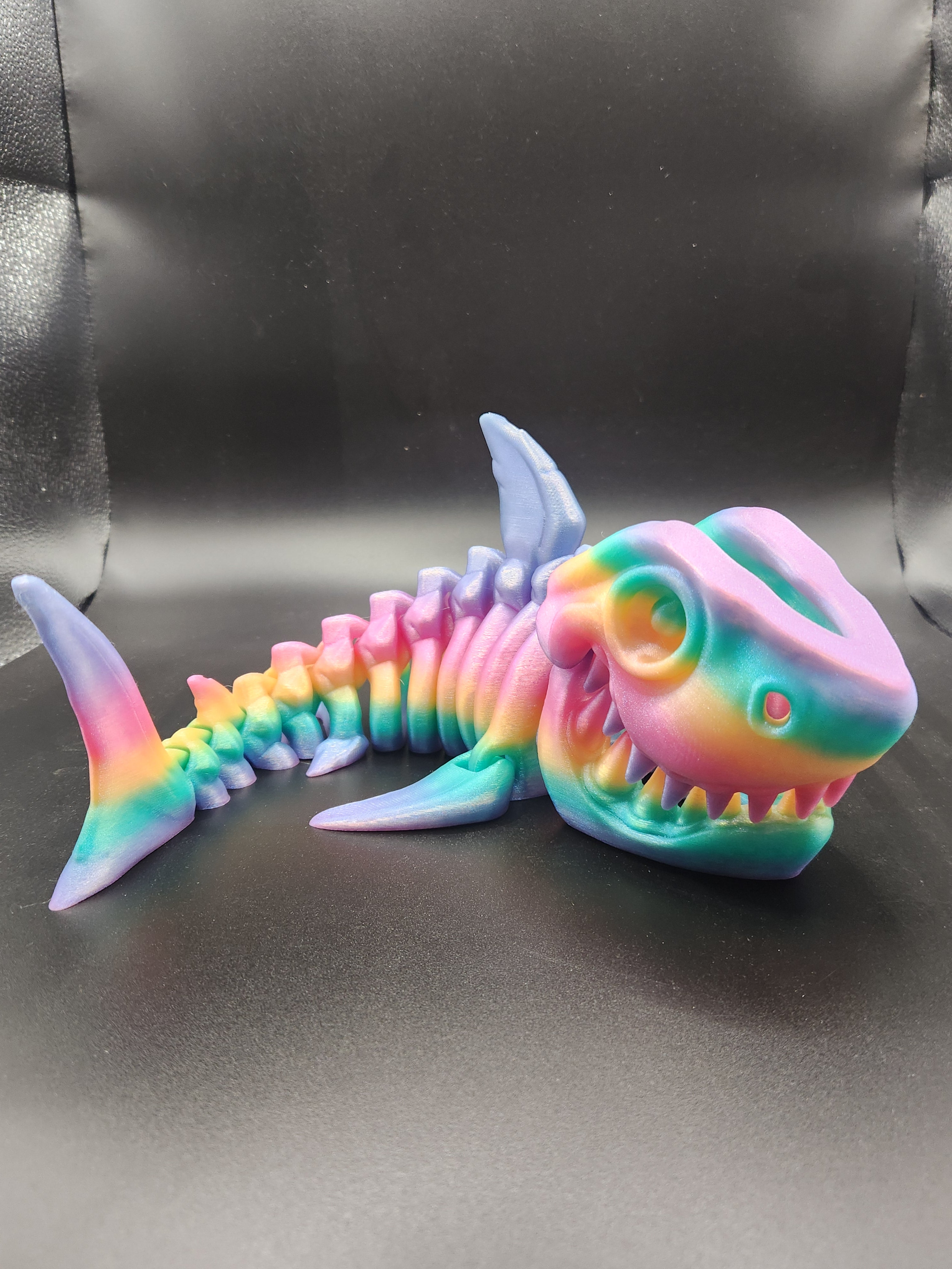 Skeleton Shark