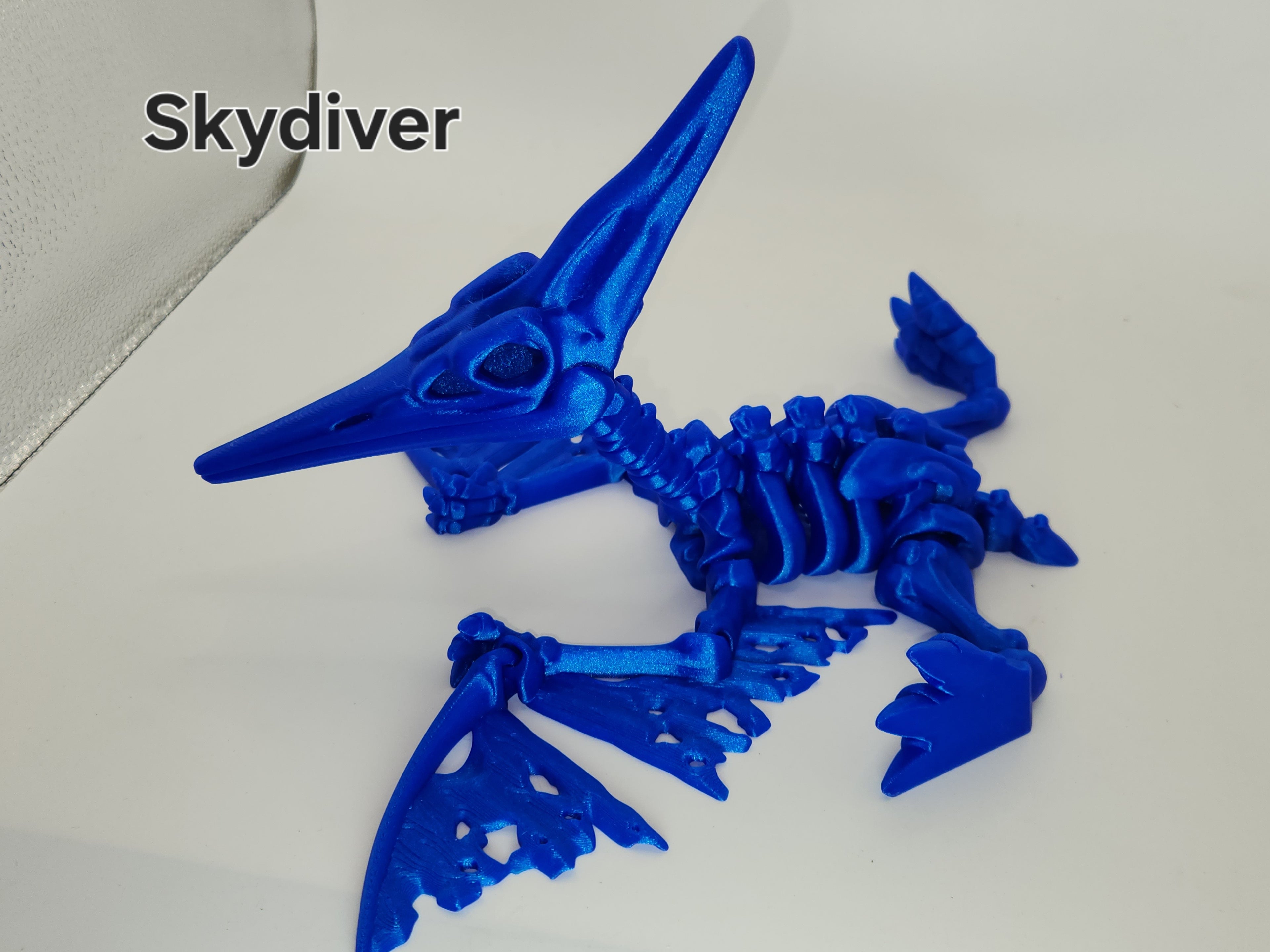 Pteranodon Skeleton