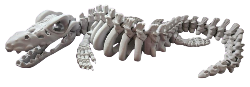 XXL Mosasaurus
